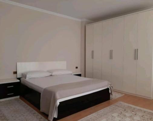 Erina Luxury Apartment ティラナ エクステリア 写真